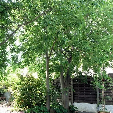 A L'ombre Des Micocouliers Holiday home